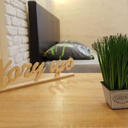 New Luxury Studio Apartment Ivano-Frankivsk Buitenkant foto